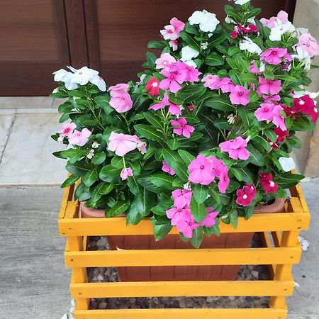 La Casa Di Anita Nel Cuore Di Segesta Calatafimi Kamer foto